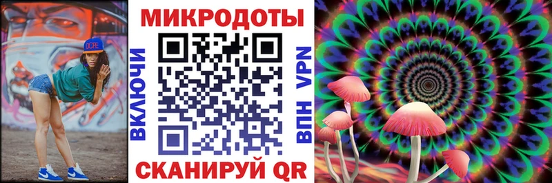 Псилоцибиновые грибы Psilocybe  Новомичуринск 